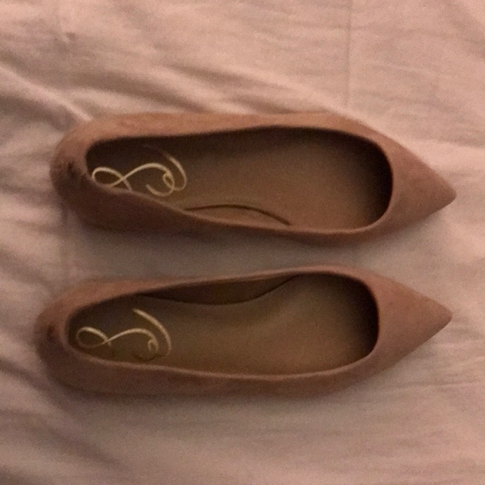 Sam Edelman Wanda Pointed Toe Flat